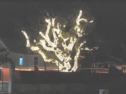 related picture
