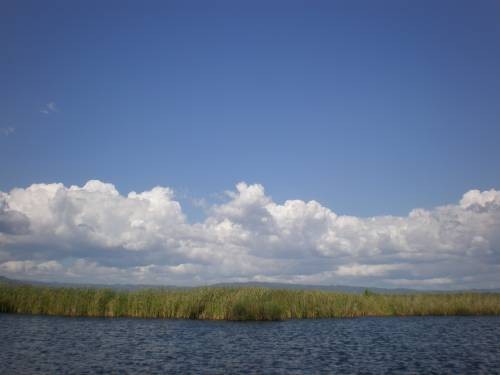 related picture