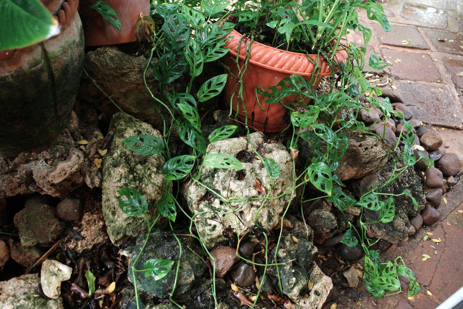 related image