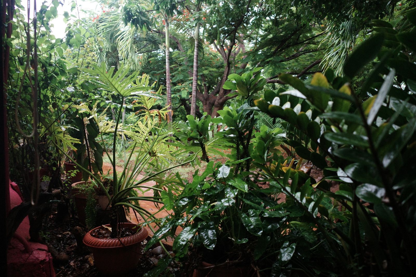 related image