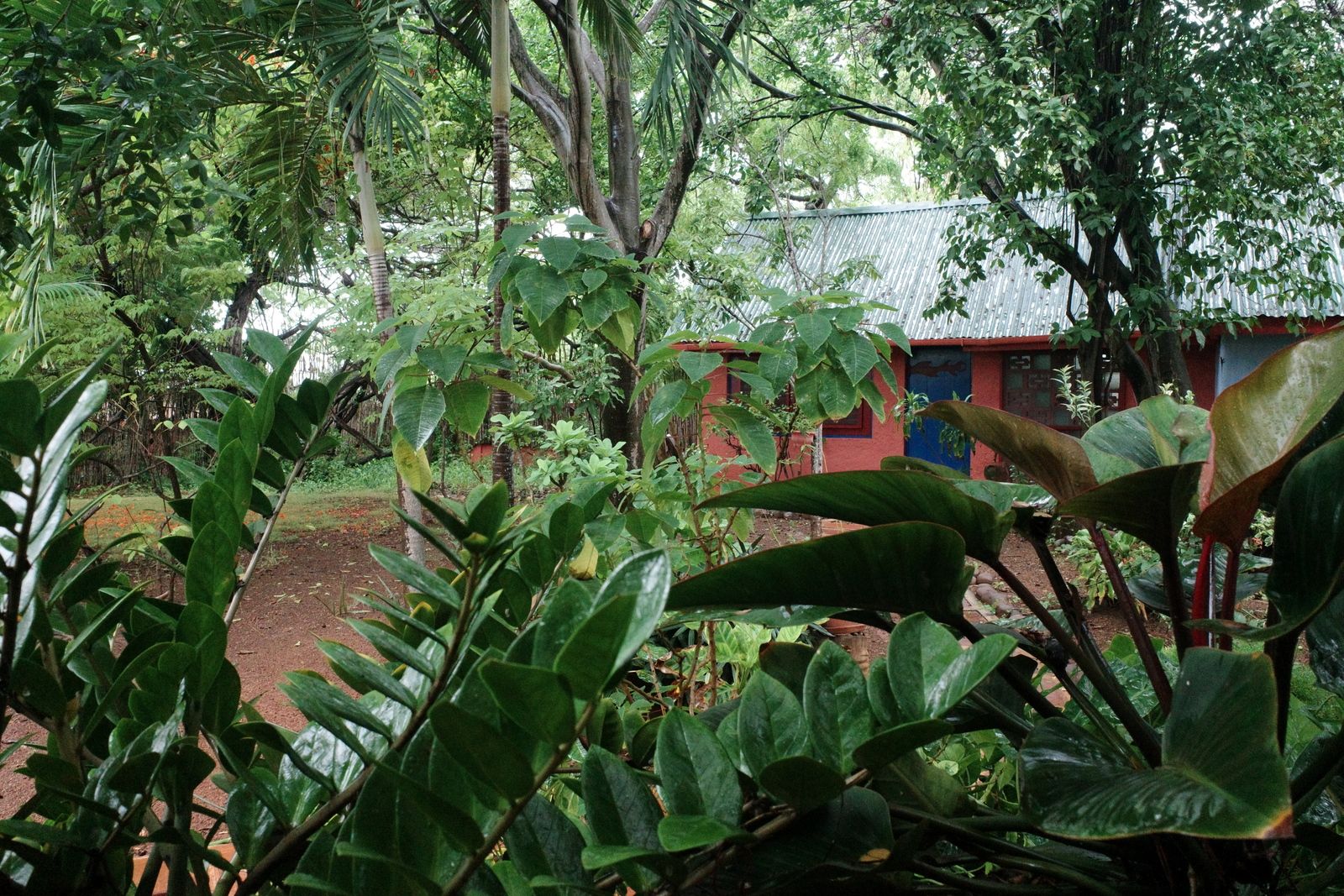 related image