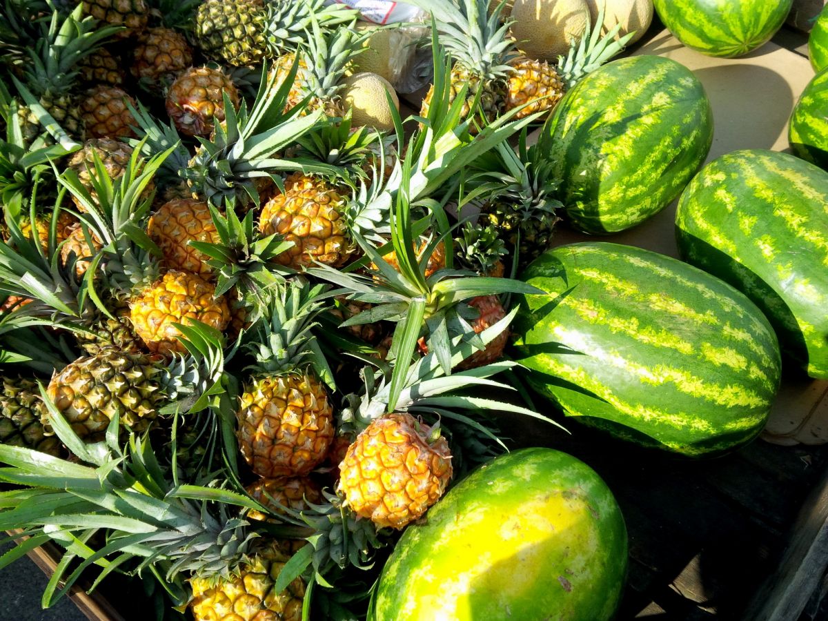 Pine and Water melons