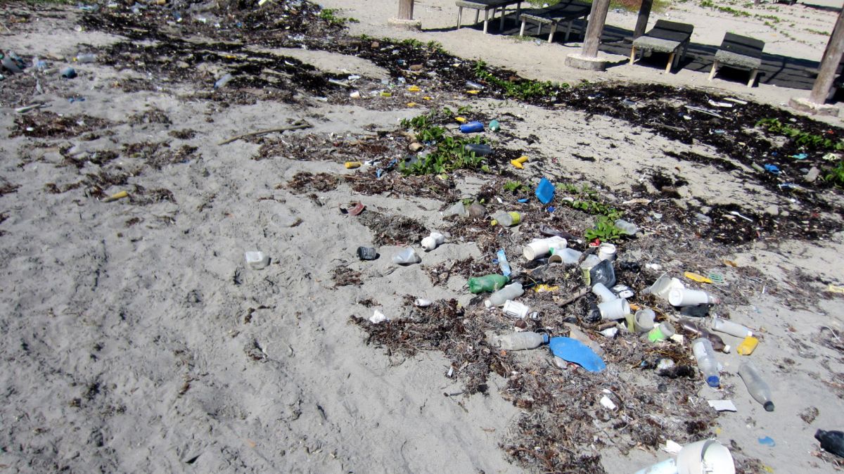 Plastic bottles on a beach in Helsire