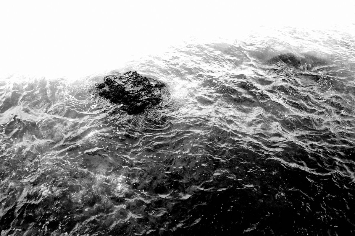 Rock in the sea.  The waves around it plus the shadow cast by the tree above it make a awesome soup of grays.