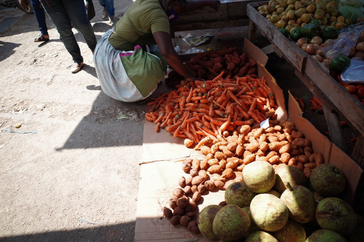 Carrots, potato and Breadfruit