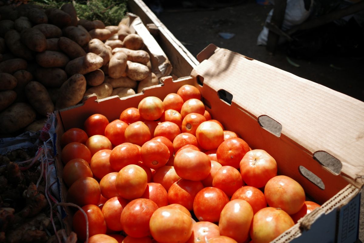 Red Tomatos, Irish Potatos