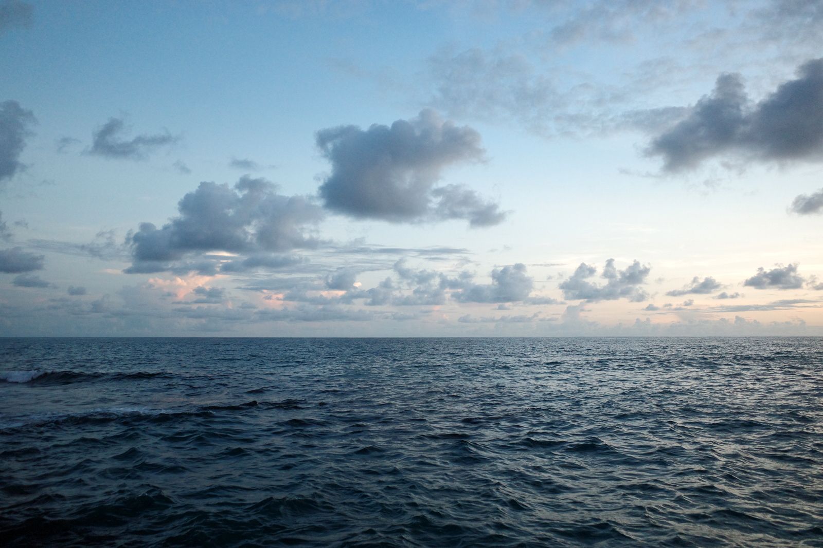 related image