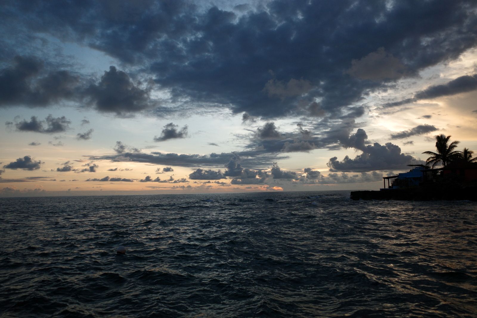 related image