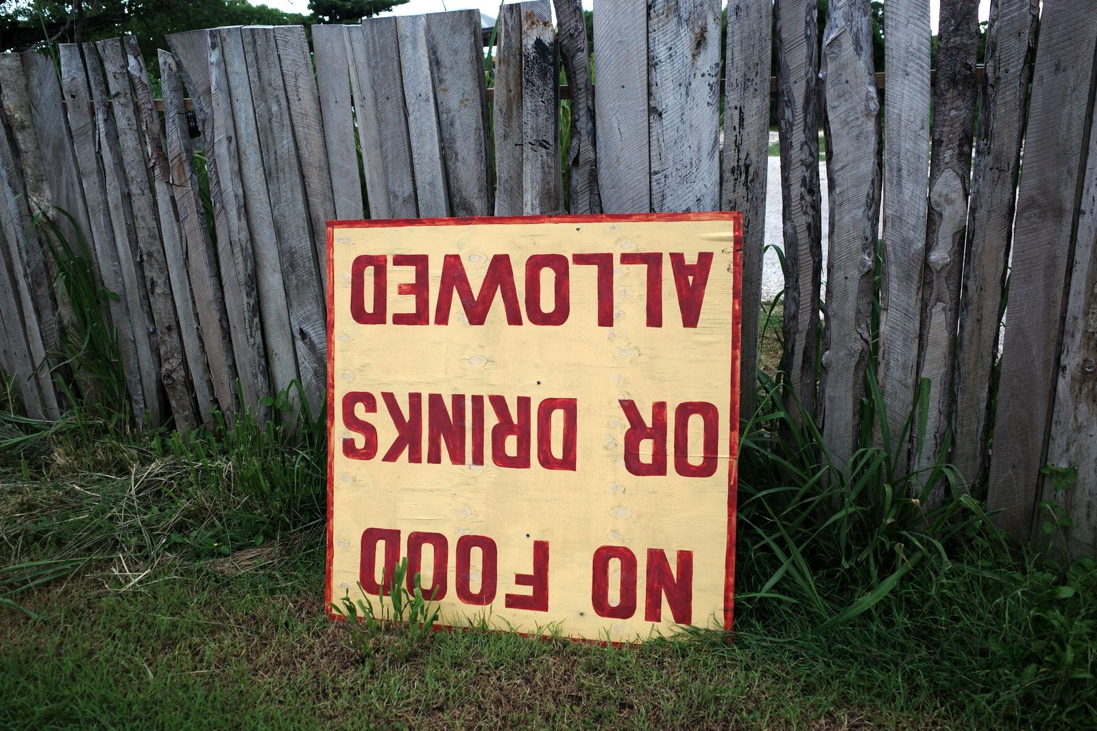 related image