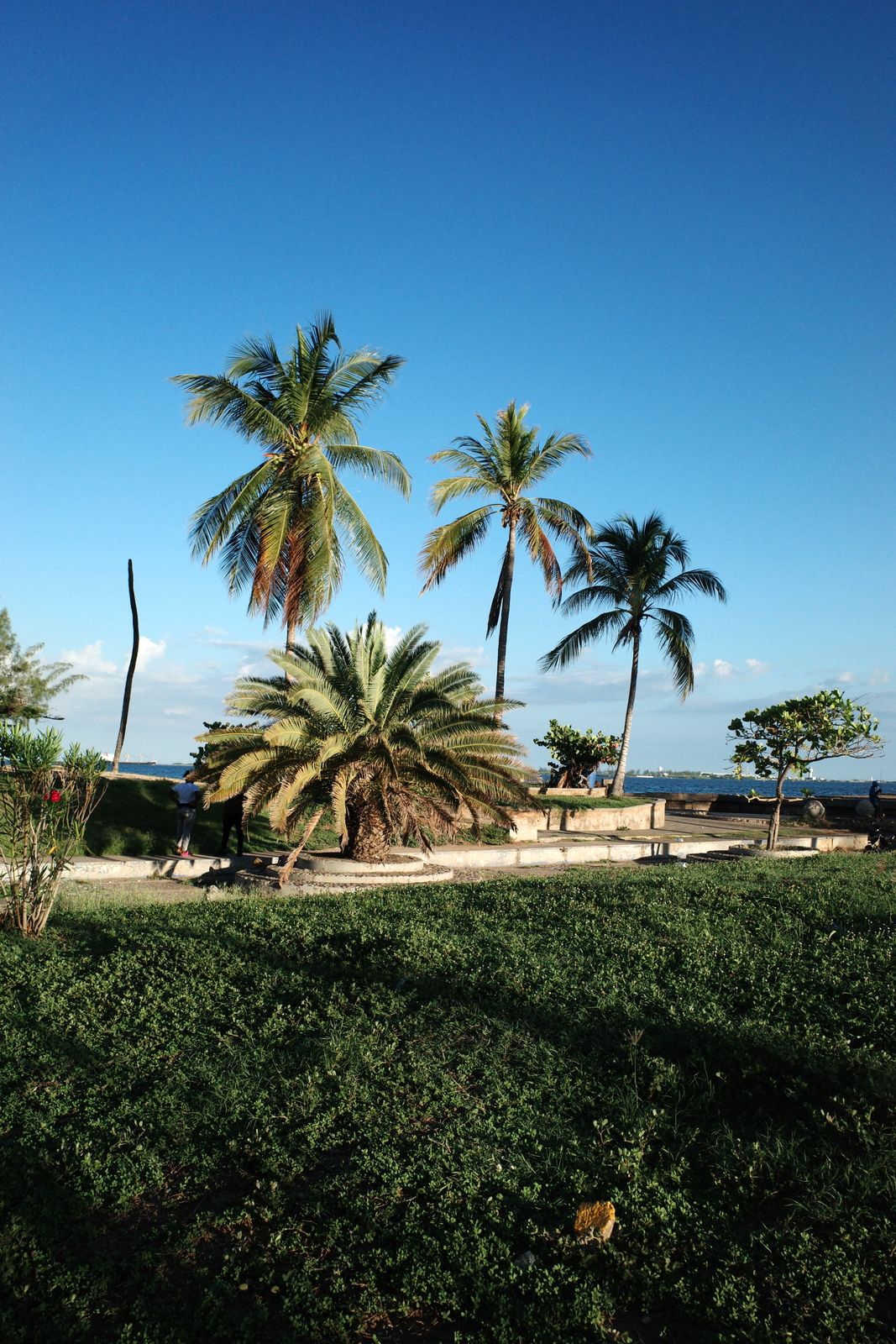 related image