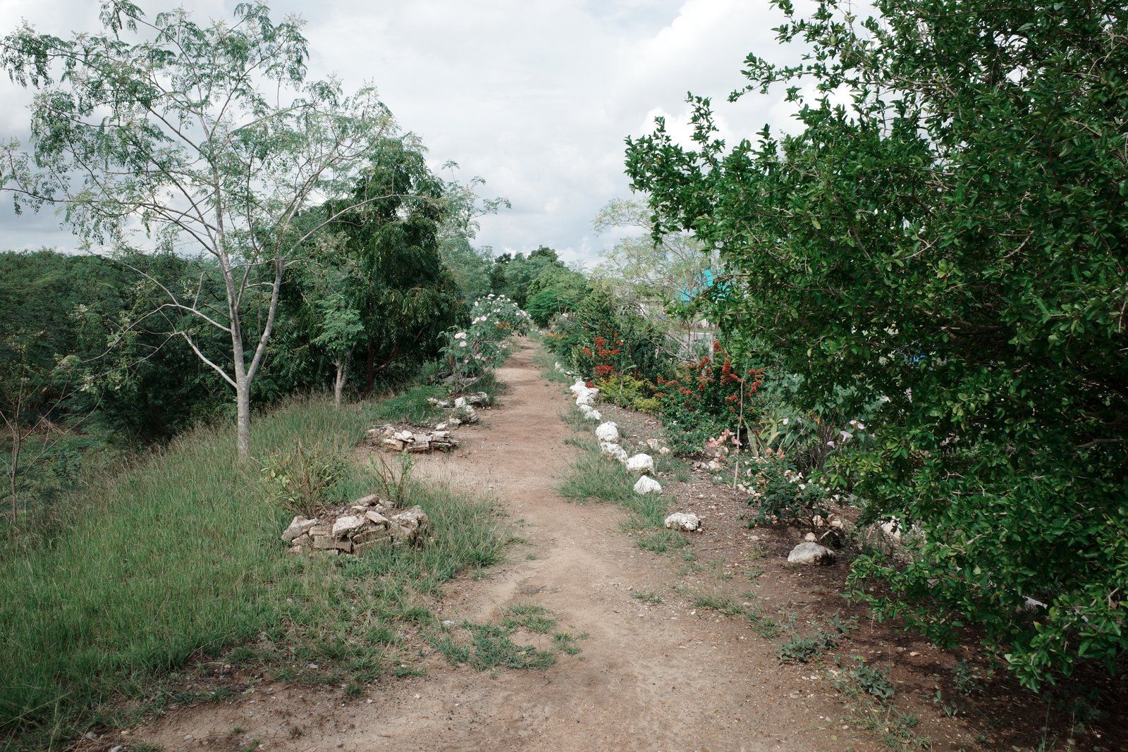 related image